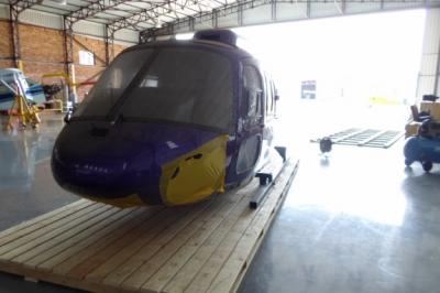 Fox Mallard in South Africa Handle Project to the Antarctic