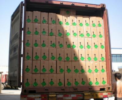 Ningbo Star Alliance - Dangerous Goods Experts in China