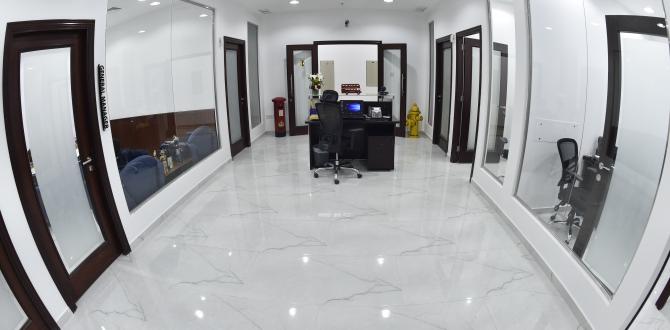 Royal International are Offering a 360° Service in Egypt