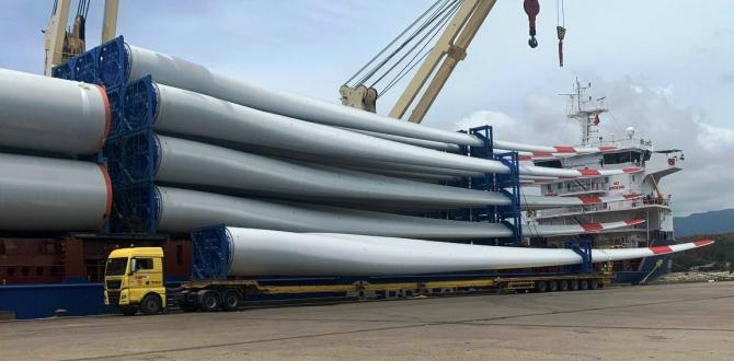 New World Logistics Vietnam Share Renewable Energy Projects