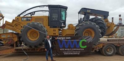 Comprehensive Freight Forwarding Services at Wide World Corporation in Uruguay