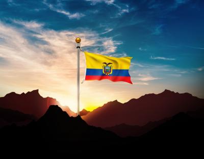 Excellence & Accuracy at TRANSLOGISTICS Ecuador