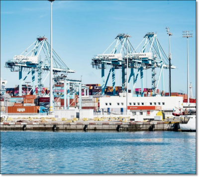 Value-Added Services from NEST SEA & AIR