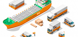 Efficiency, Effectiveness & Innovation from Coraduanas Ecuador
