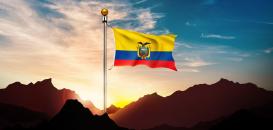 Excellence & Accuracy at TRANSLOGISTICS Ecuador