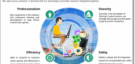 Shining Supply Chain Provide Professional Solutions