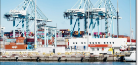 Value-Added Services from NEST SEA & AIR