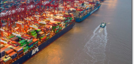 Fly Dragon Bring Rich Professional Experience